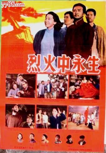托伦斯大学会计文凭证书